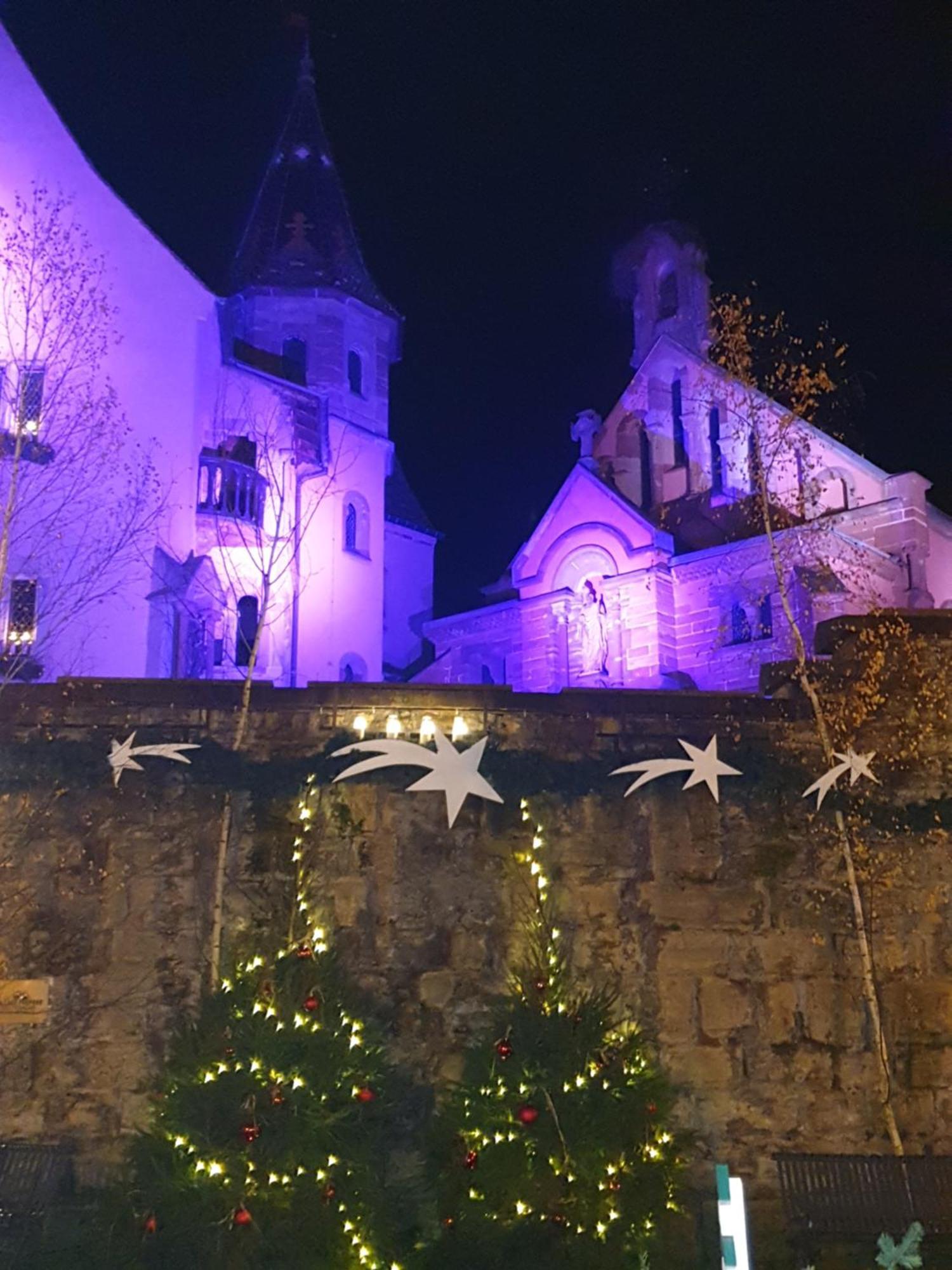 Fleur De Vigne Apartment Eguisheim Bilik gambar