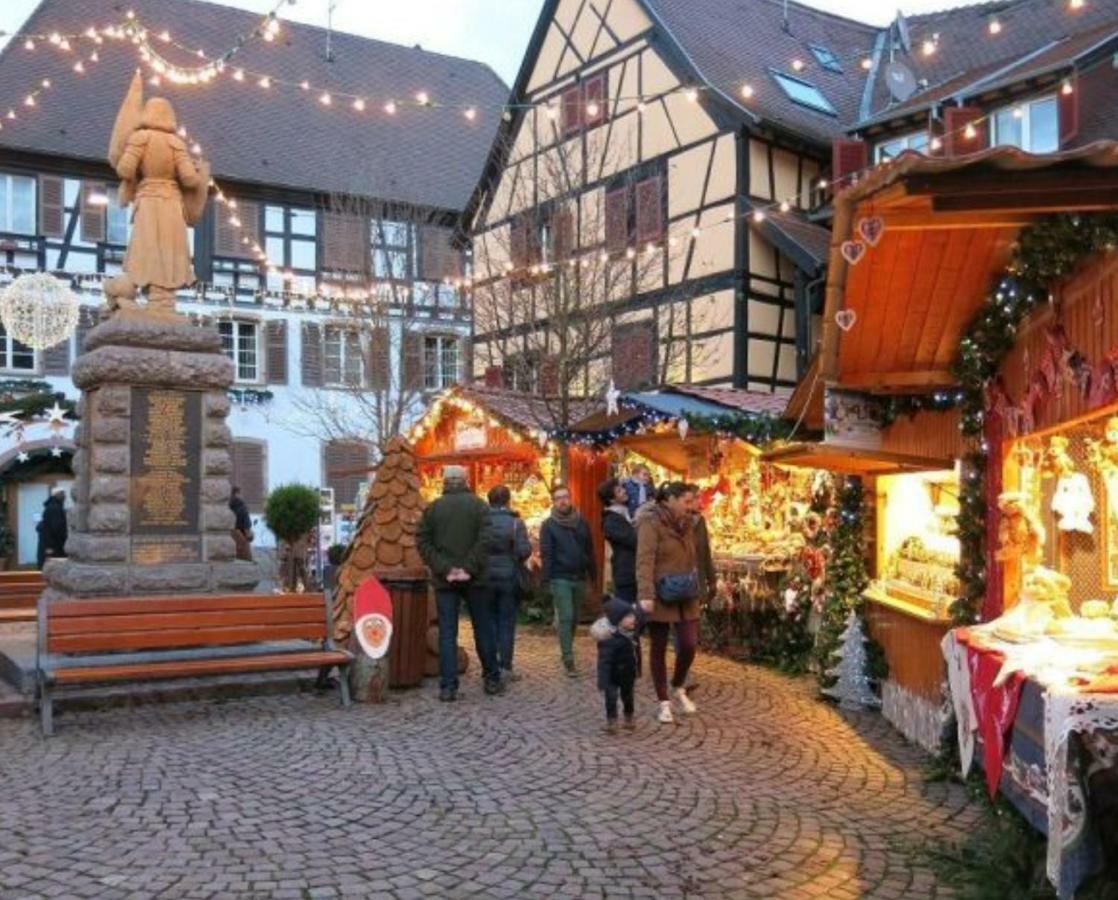 Fleur De Vigne Apartment Eguisheim Luaran gambar