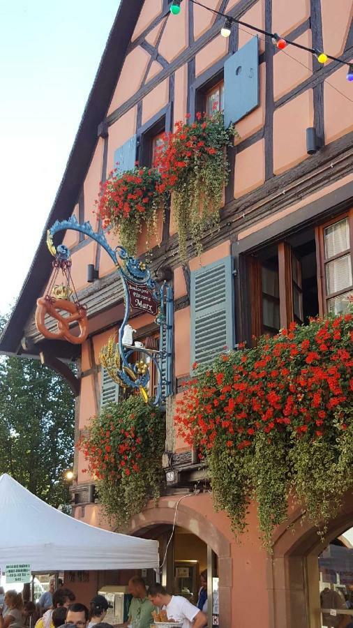 Fleur De Vigne Apartment Eguisheim Luaran gambar