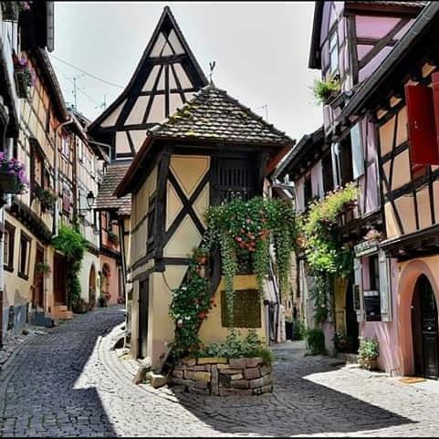 Fleur De Vigne Apartment Eguisheim Luaran gambar