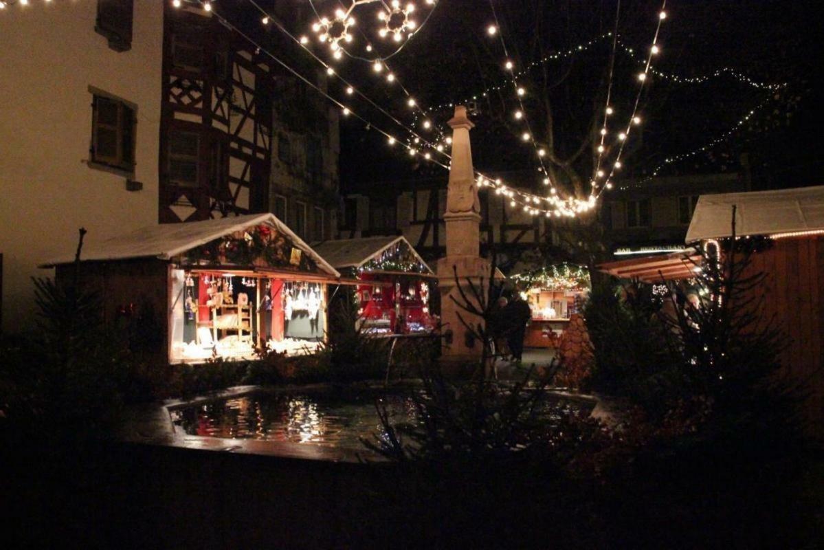 Fleur De Vigne Apartment Eguisheim Luaran gambar