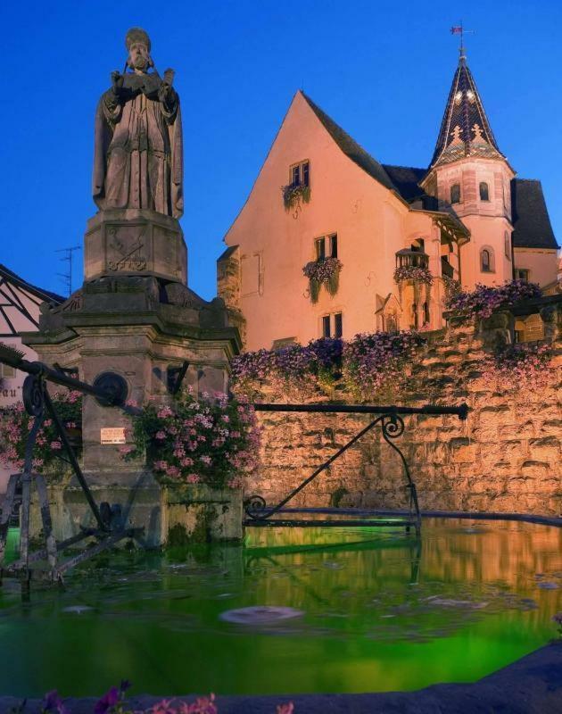 Fleur De Vigne Apartment Eguisheim Luaran gambar