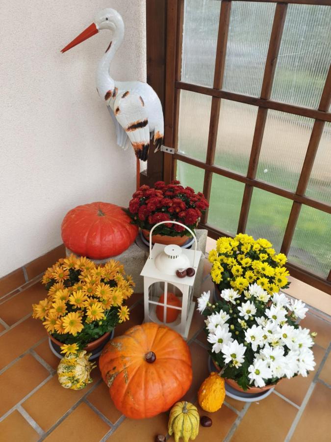 Fleur De Vigne Apartment Eguisheim Luaran gambar